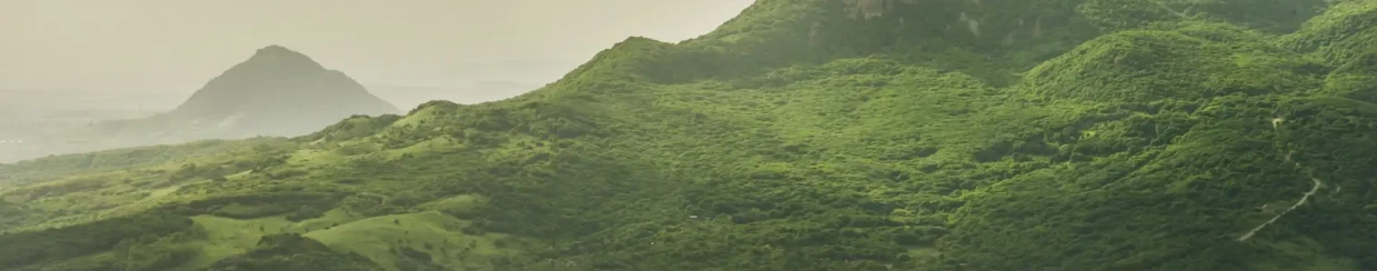 green-mountains-at-sunset-in-summer-mountain-land-2023-11-27-05-18-37-utc
